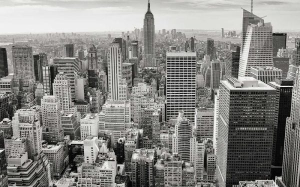 2026年AI营养搭配：膳食加AI健康管理系统，个性化饮食从概念到现实