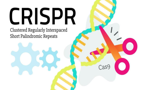 基因编辑2026：CRISPR 3.0 vs Prime Editing vs 中国基因治疗，改写生命的密码