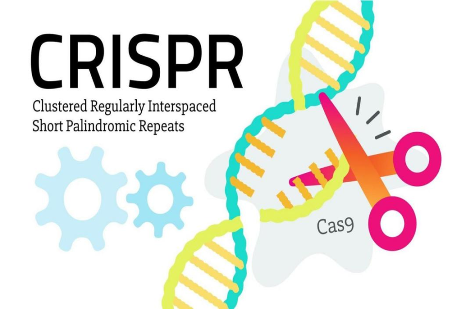 基因编辑2026：CRISPR 3.0 vs Prime Editing vs 中国基因治疗，改写生命的密码